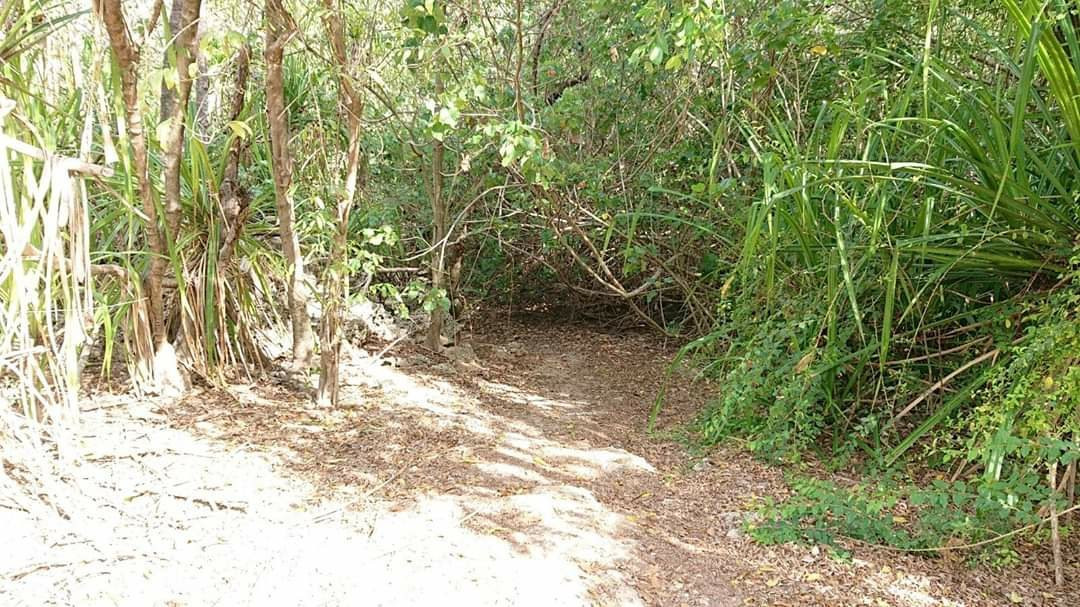 The Grotto-圣诞岛必去景点