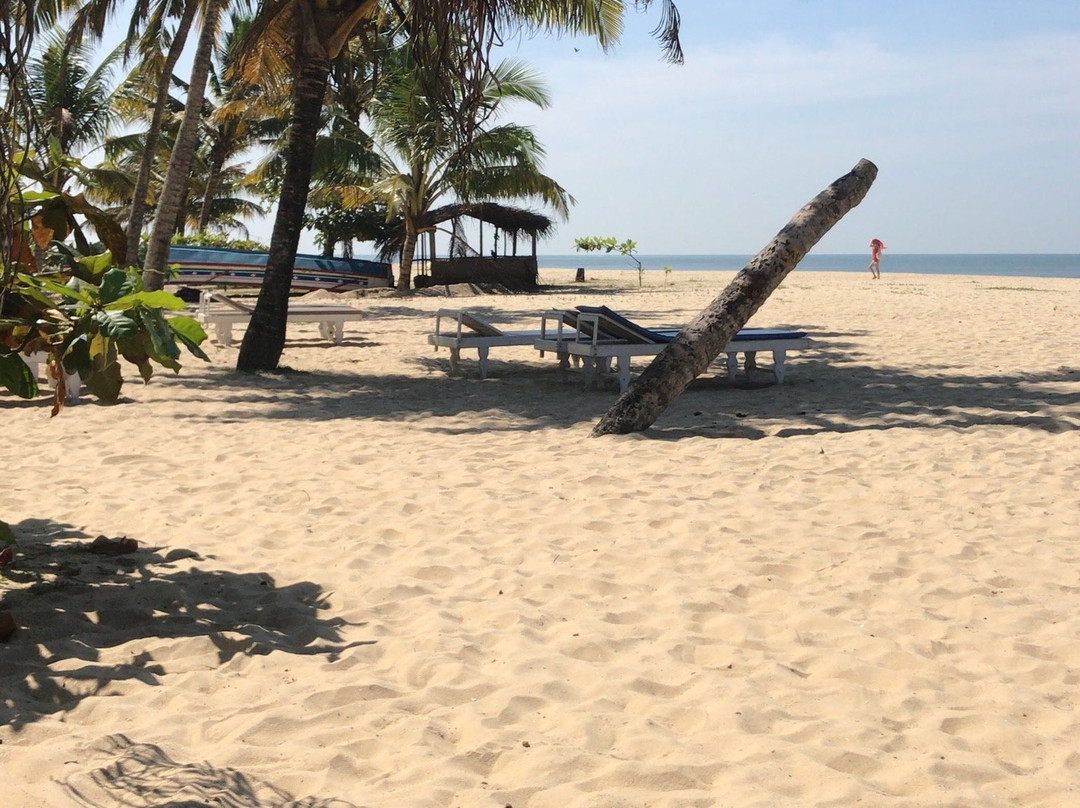 乌龟海滩阿瓦德酒店主图