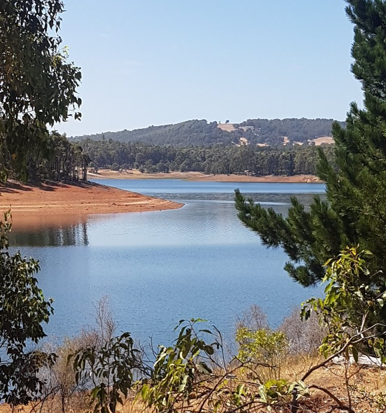 Harvey Dam and Amphitheatre景点图片