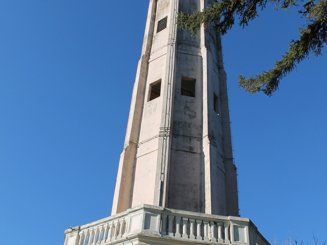 Faro voltiano景点图片