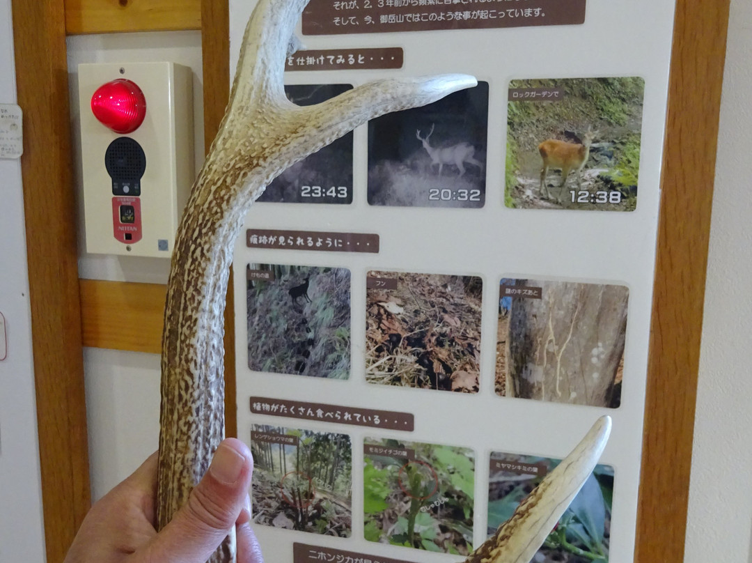 Mitake Visitor Center-青梅市必去景点