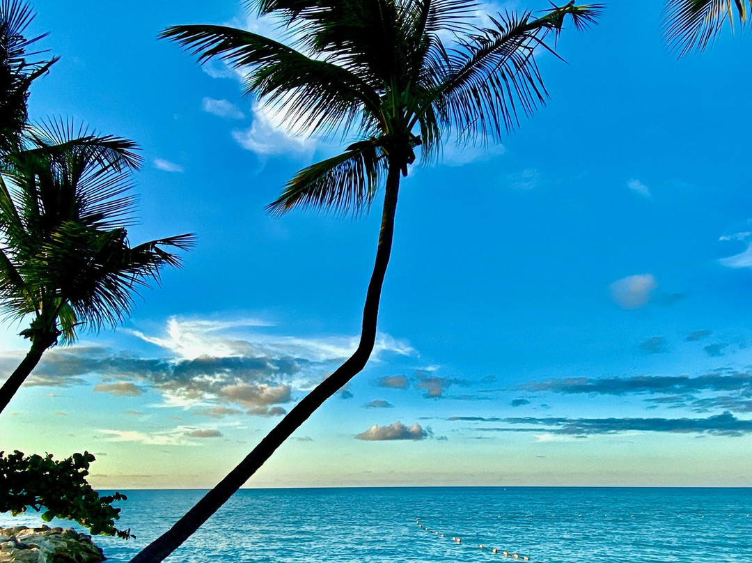 西波涅海滩俱乐部主图