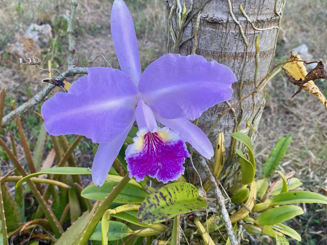 Finca Excelencia-Soroa必去景点