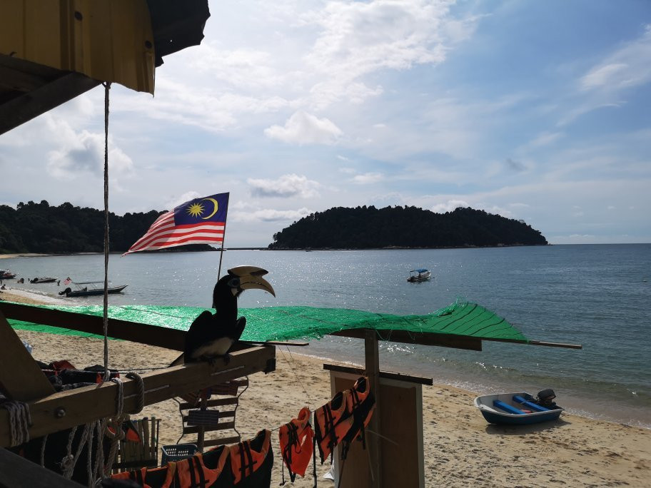 Teluk Nipah Lumut-红土坎必去景点