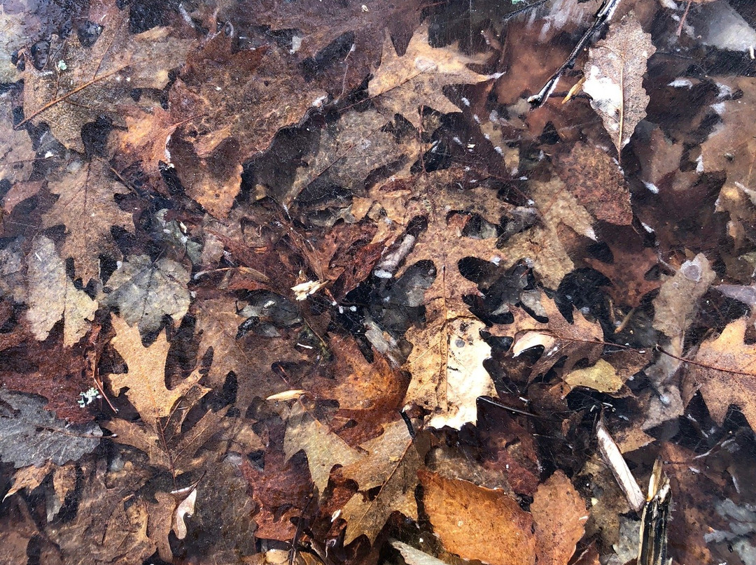 Bear Mountain Reservation-丹伯里必去景点