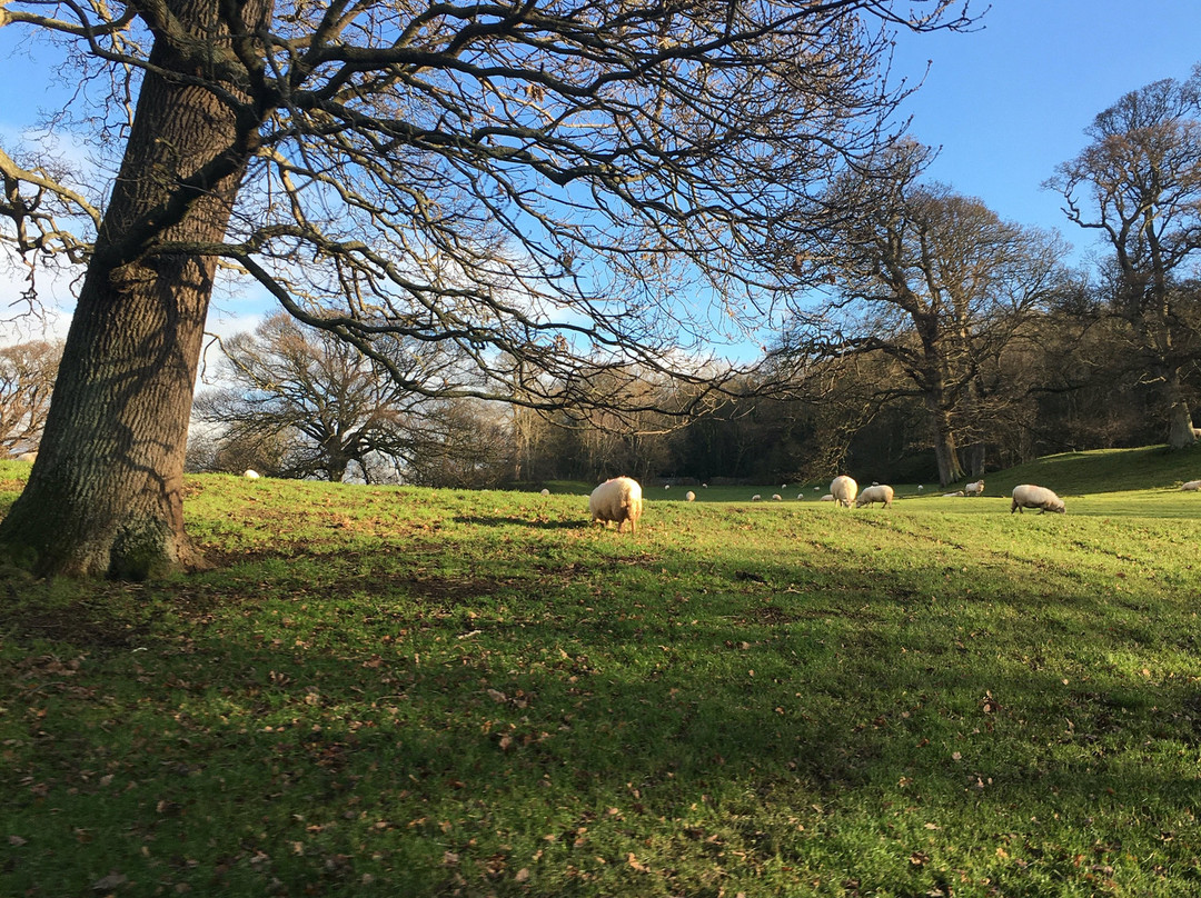 力推博戴斯加伦大厅酒店&SPA主图