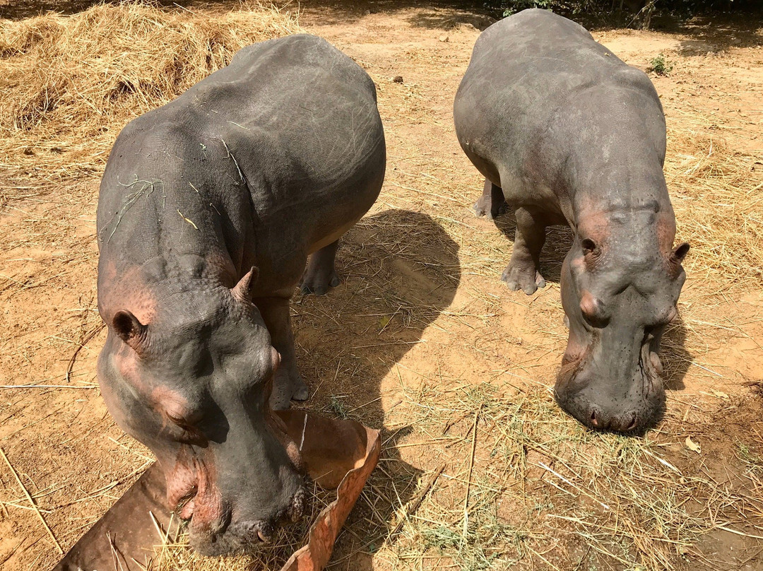 Parc Animalier-瓦加杜古必去景点