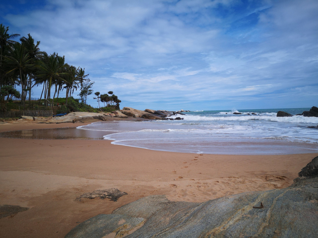 海龟湾大酒店主图