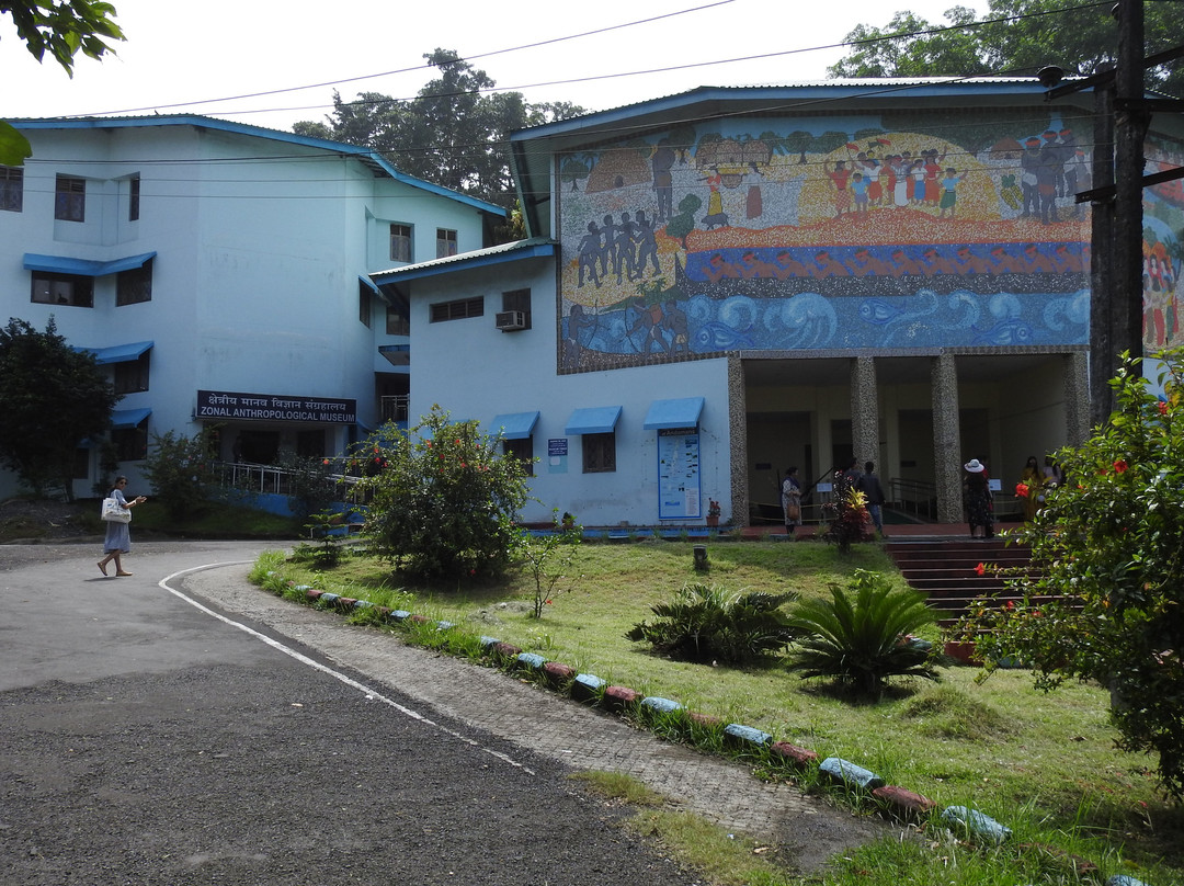 Anthropological Museum-布莱尔港必去景点