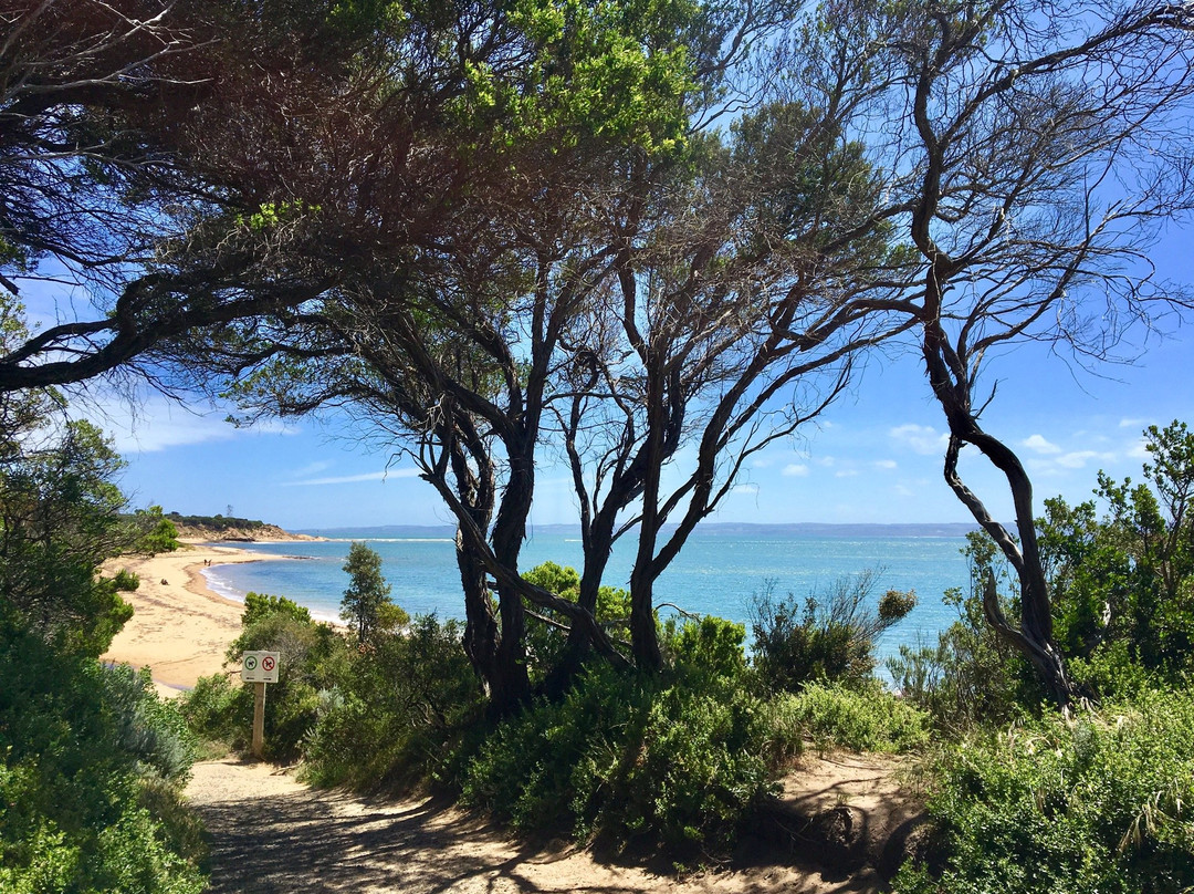 Ventnor Beach景点图片