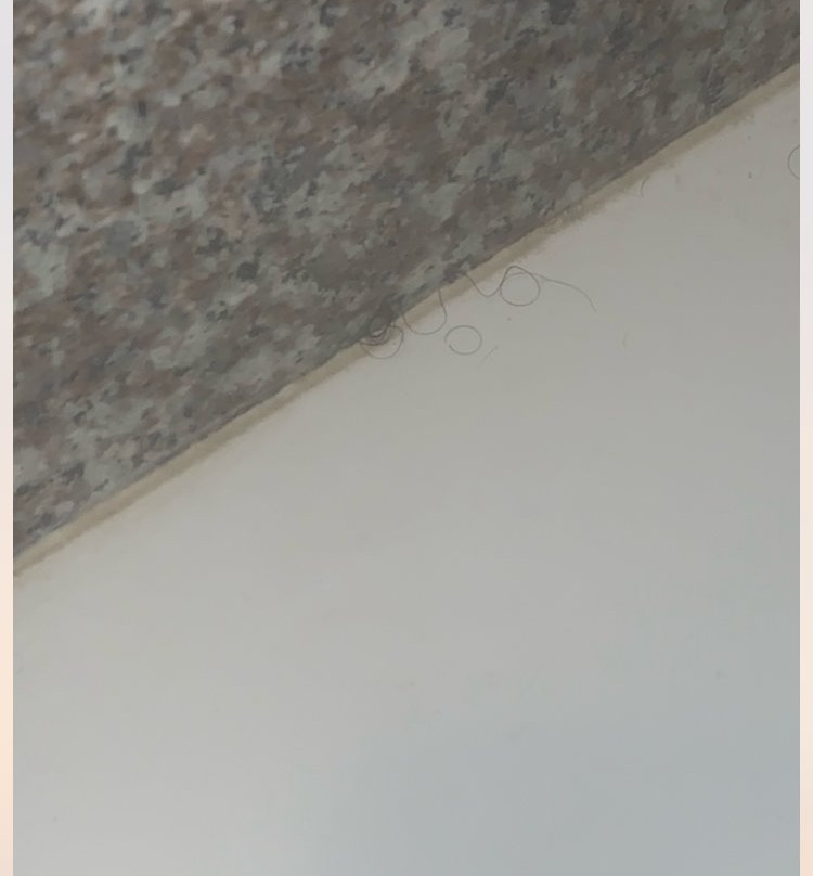 Days Inn by Wyndham Kenedy主图