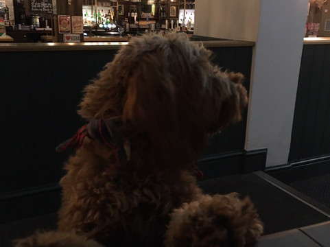 The Old Restoration-切尔滕纳姆必去景点