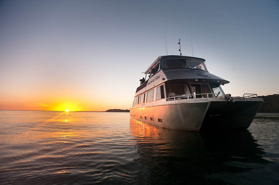 Raglan Boat Charter - Wahinemoe-拉格伦必去景点