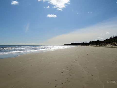 The Raven Nature Reserve-Curracloe必去景点