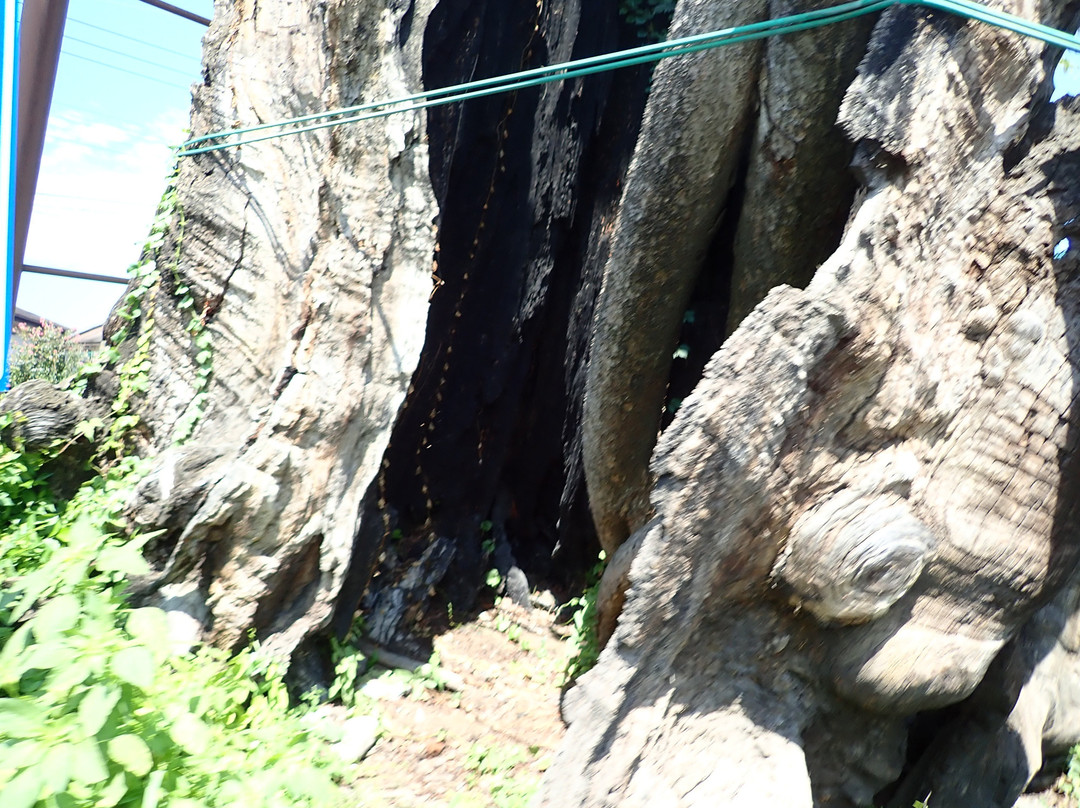 Haramachi no Okeyaki-东吾妻町必去景点