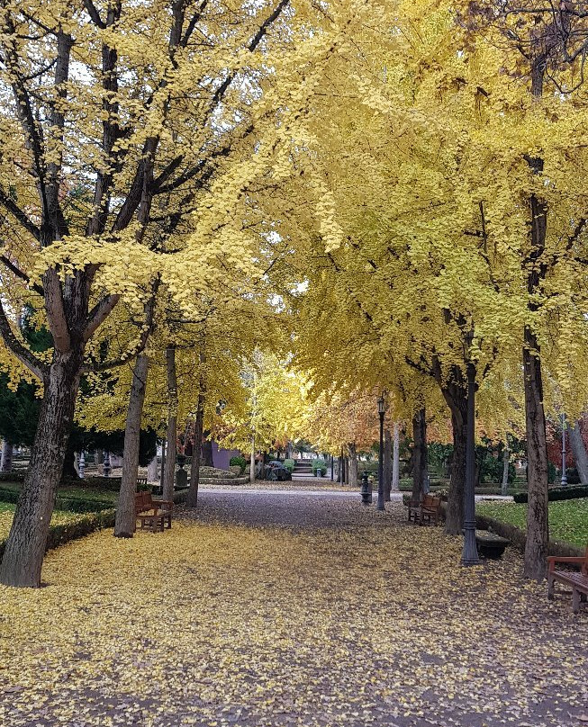 Parroquia San Lorenzo-潘普洛纳必去景点