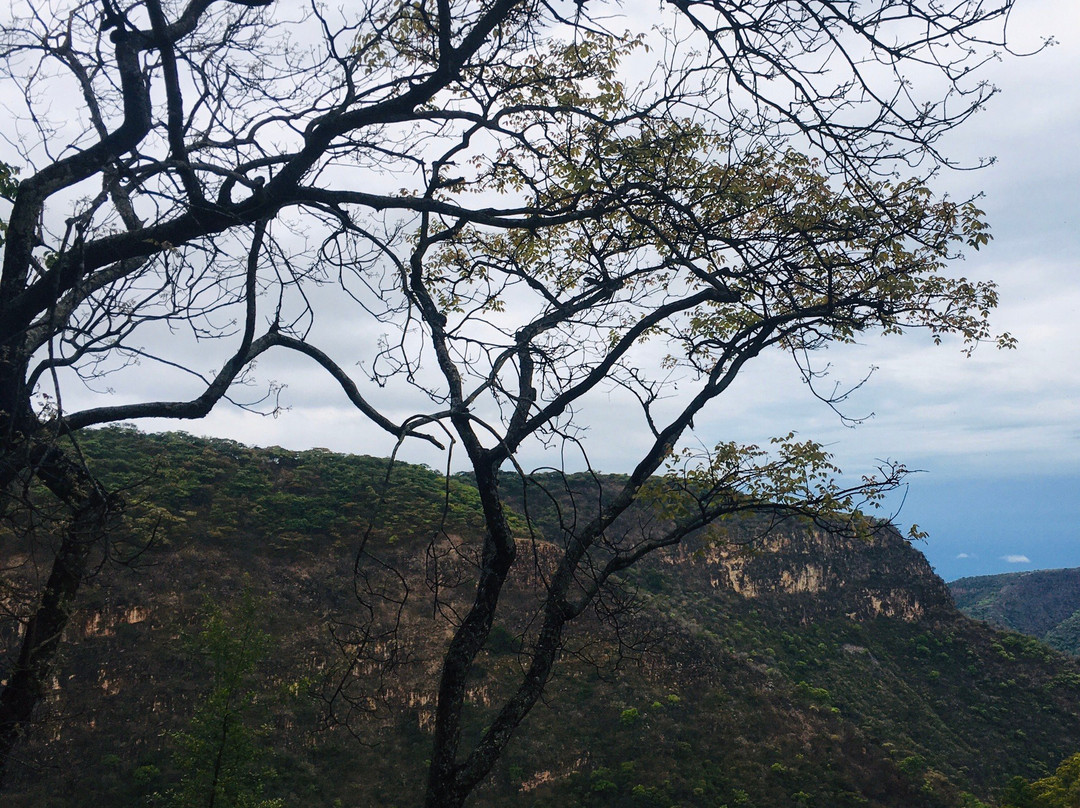 Kalambo Falls-Mbala必去景点