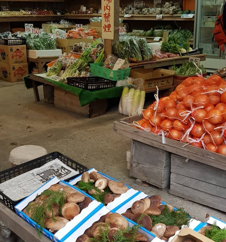 Kannoniwa Onsen-小国町必去景点