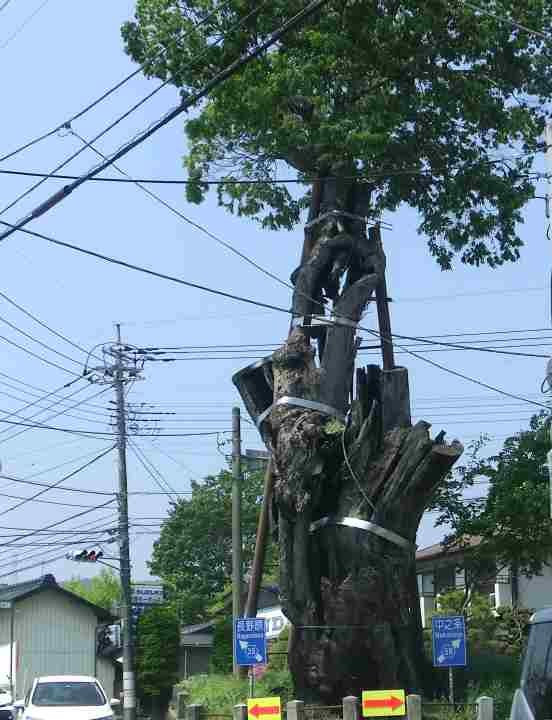 Haramachi no Okeyaki-东吾妻町必去景点