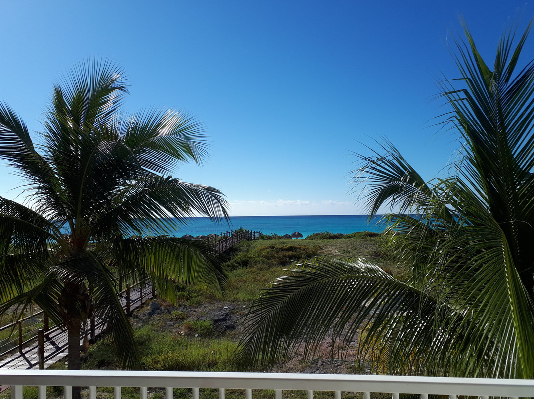 Hotel Pelicano主图