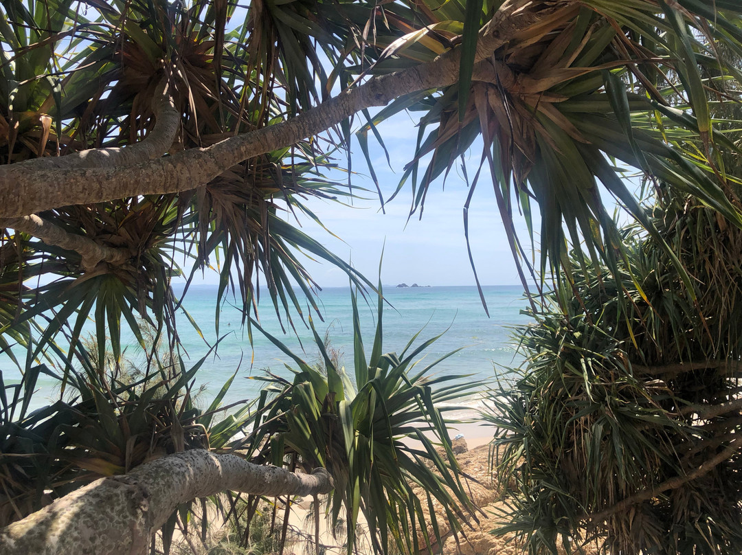 Wategos Beach景点图片