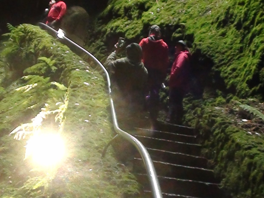 Spot Tourism Activities-亚速尔群岛英雄港中心区必去景点