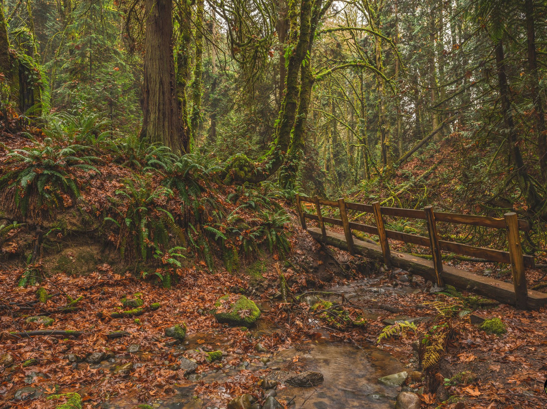 O. O. Denny Park-柯克兰必去景点