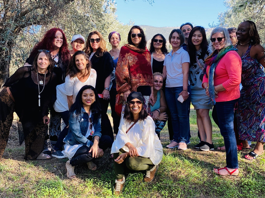 socrates olive oil tasting