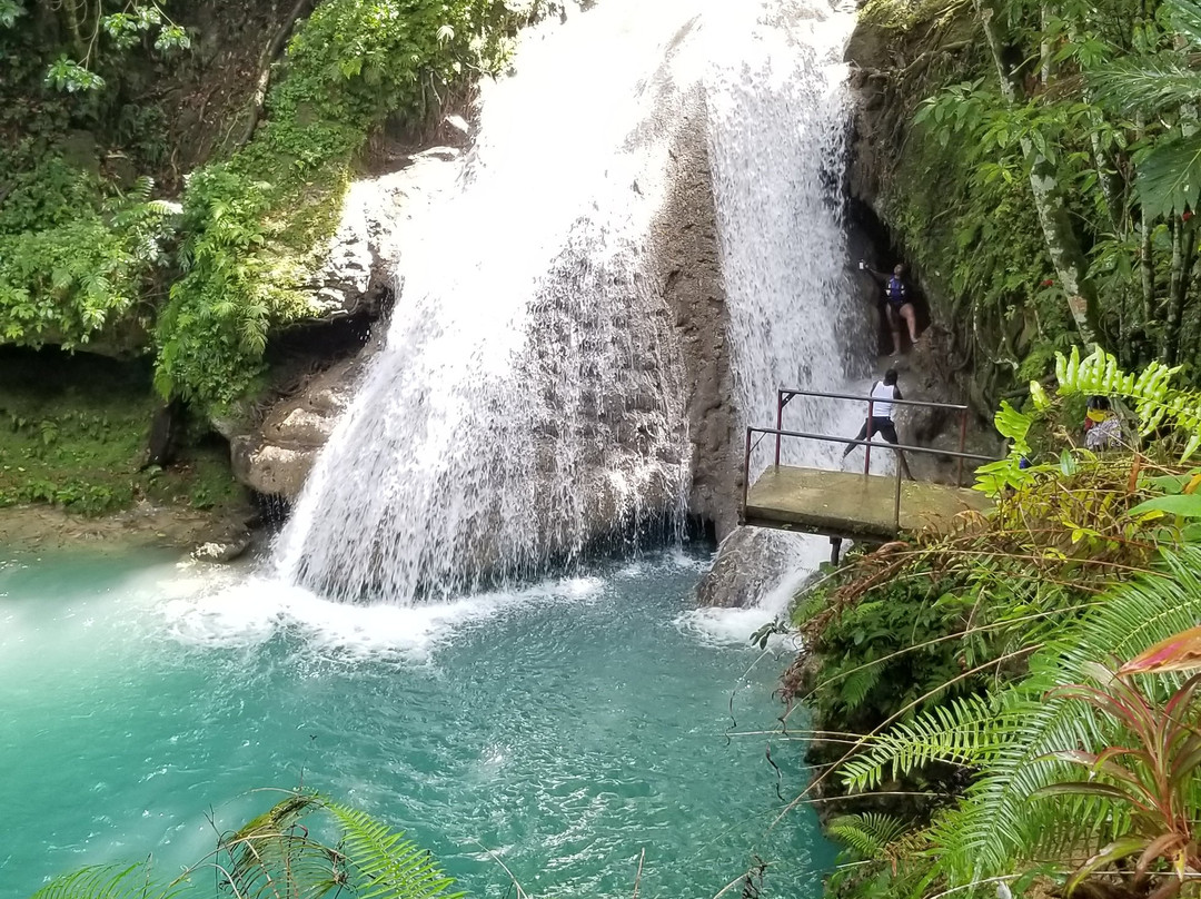 Peat Taylor Tours-奥乔里奥斯必去景点