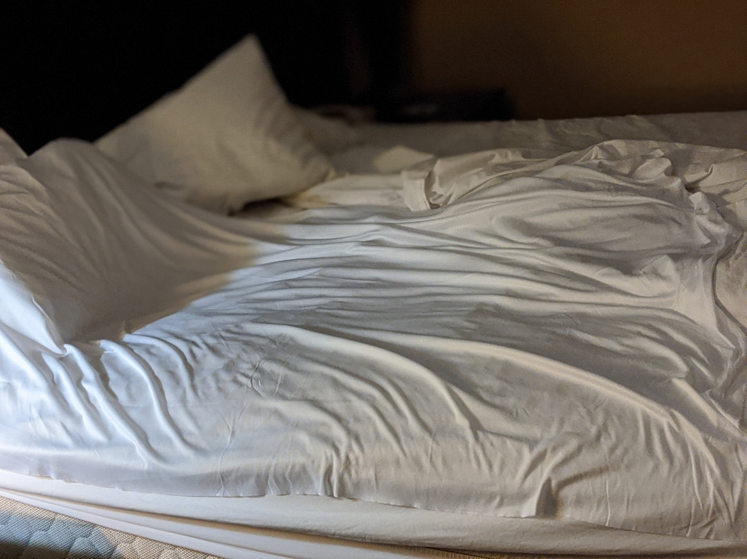 Super 8 by Wyndham Atoka主图