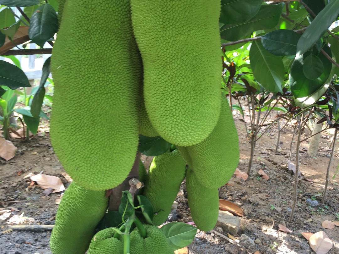 Royal Caravan Hotel & Outbound主图