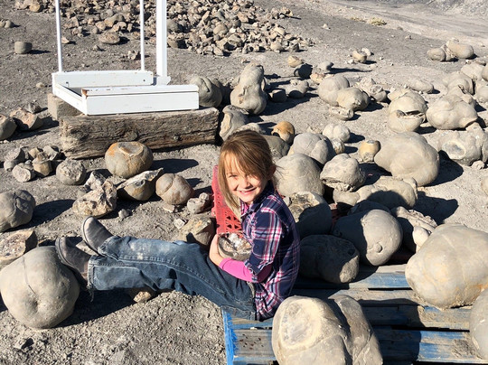 Clawson旅游攻略图片