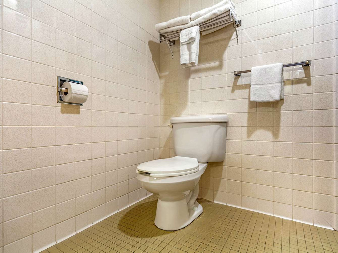 Econo Lodge Inn & Suites主图