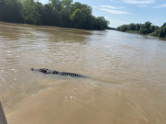 Kakadu Tours and Travel-Jabiru必去景点