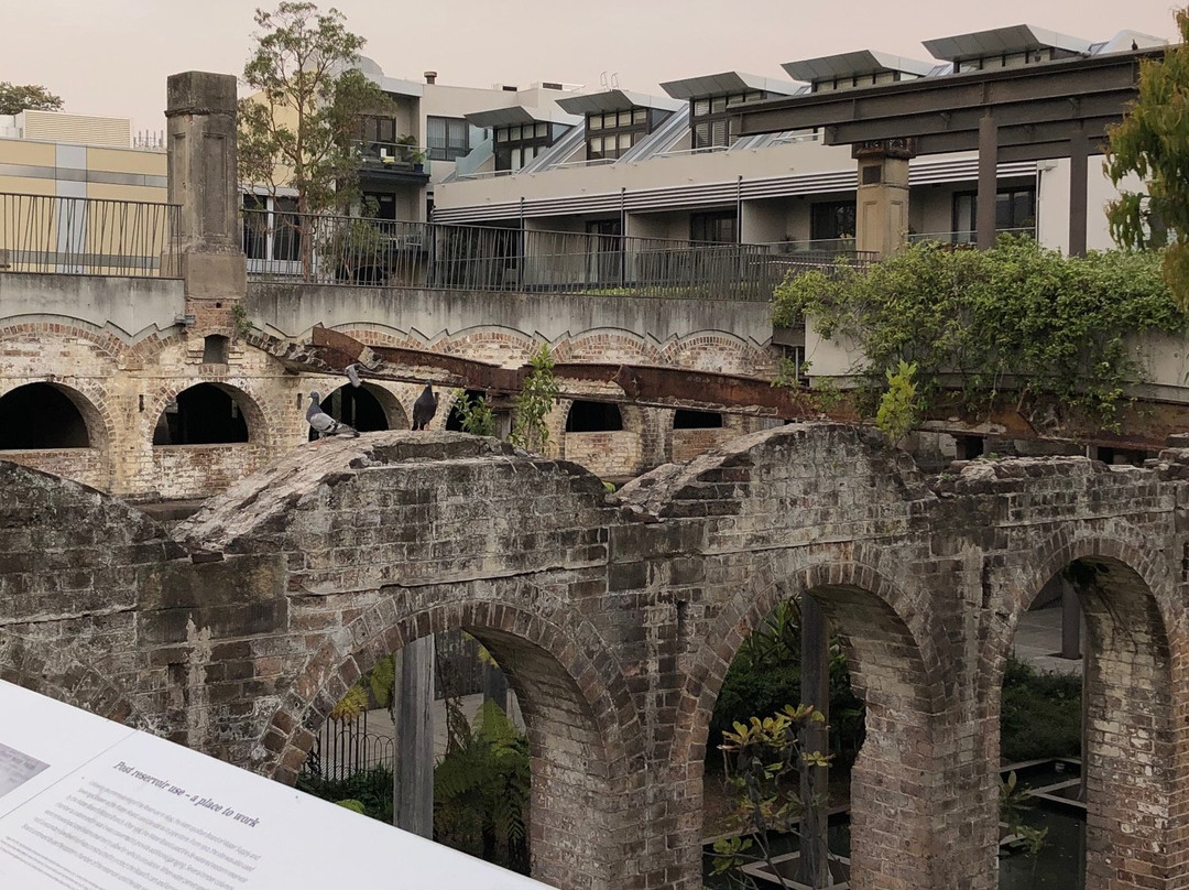 帕丁顿水库花园-悉尼必去景点
