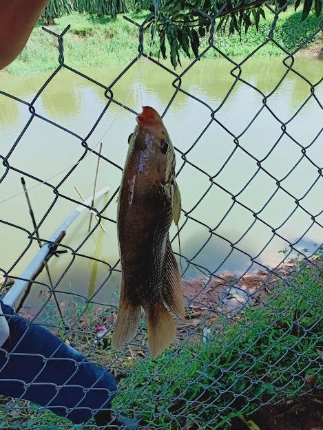 My Tam Travel-美奈必去景点