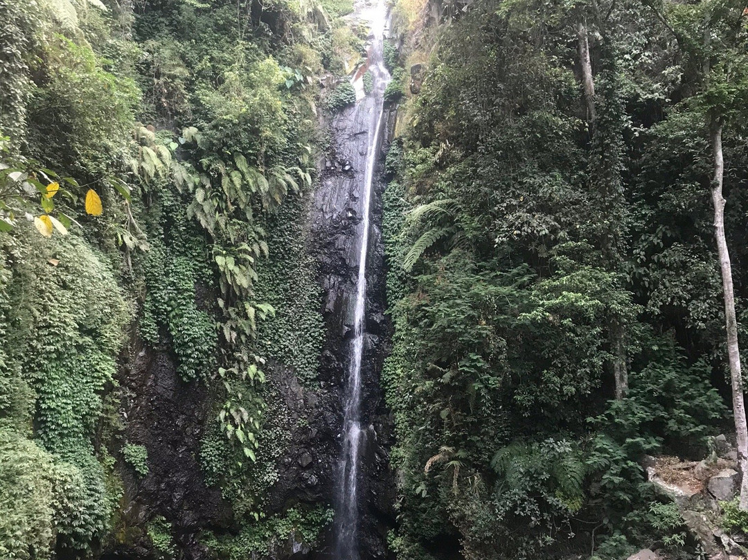 Kakek Bodo Waterfall景点图片