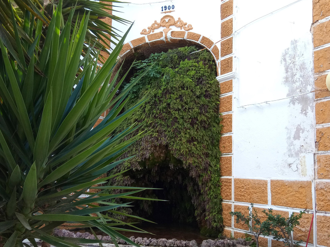 Jardim Doutor Santiago景点图片