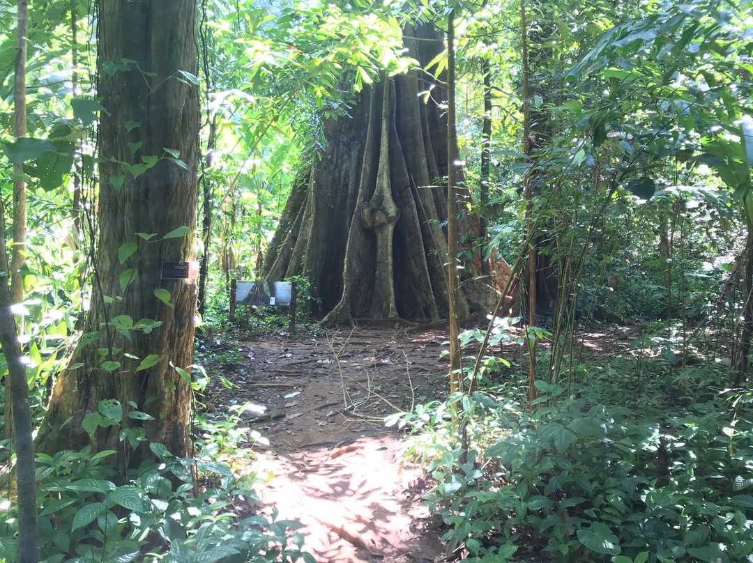 Kian Bay-瑶诺岛必去景点