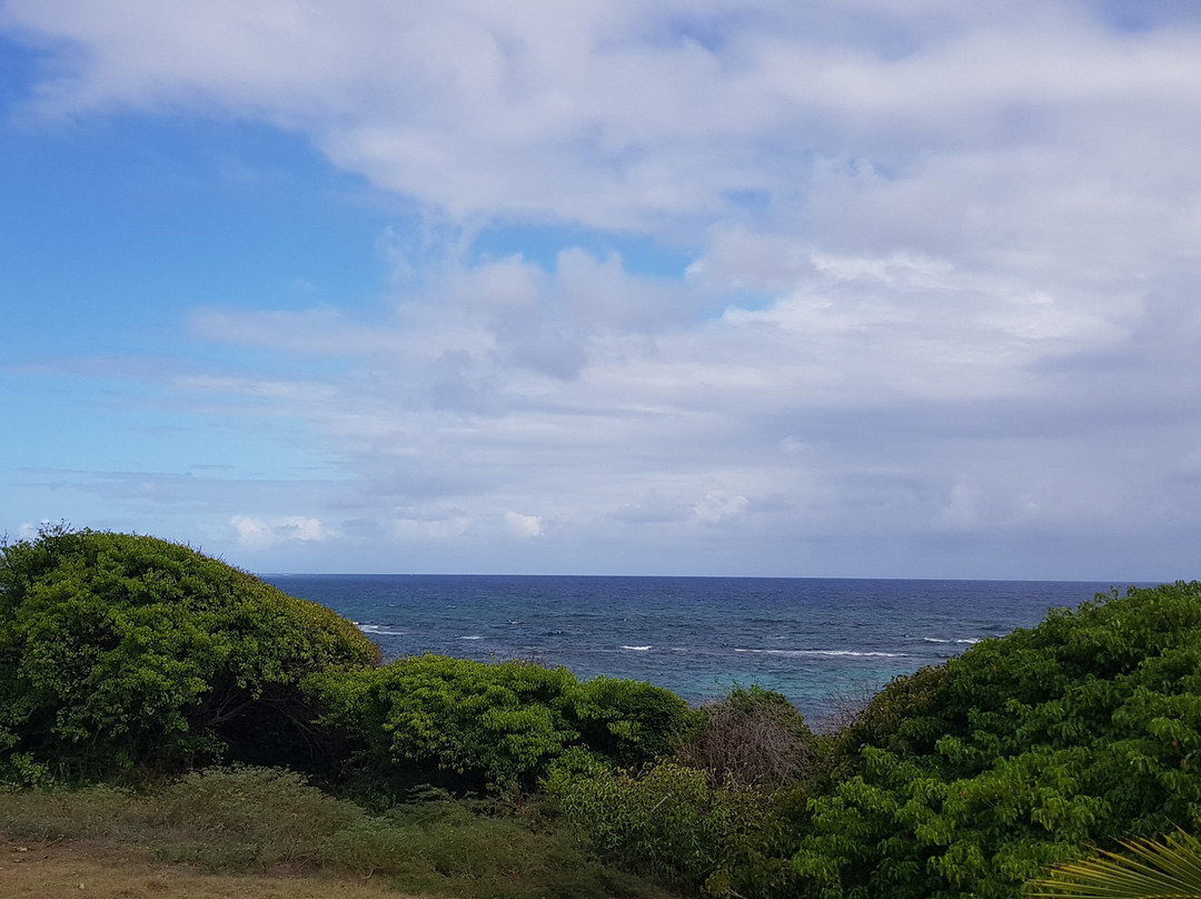 Club Caravelles主图