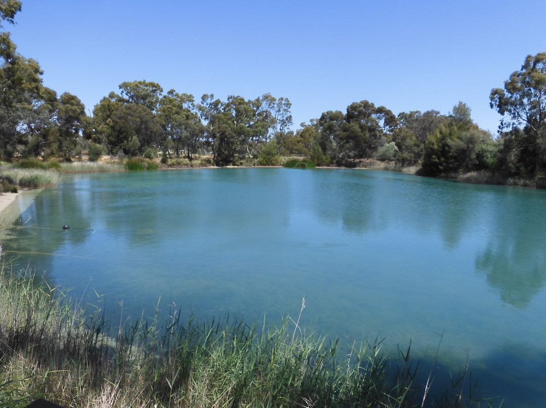 Maggie Beer's Farm Shop景点图片