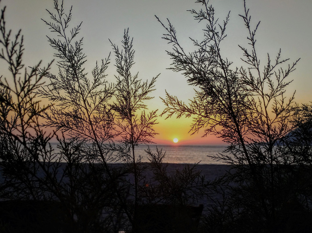 Alianthos Garden Hotel主图