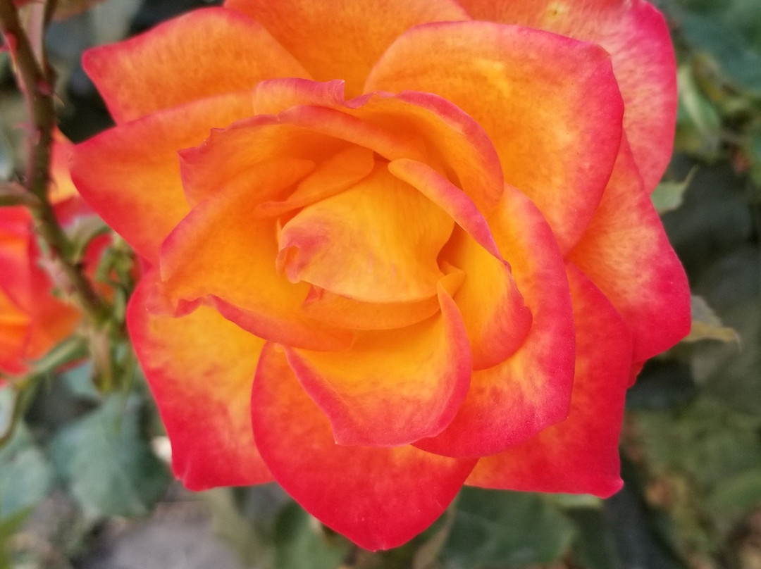 Neeru Guest House主图