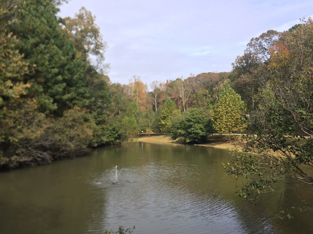 North Park-阿尔法利塔必去景点