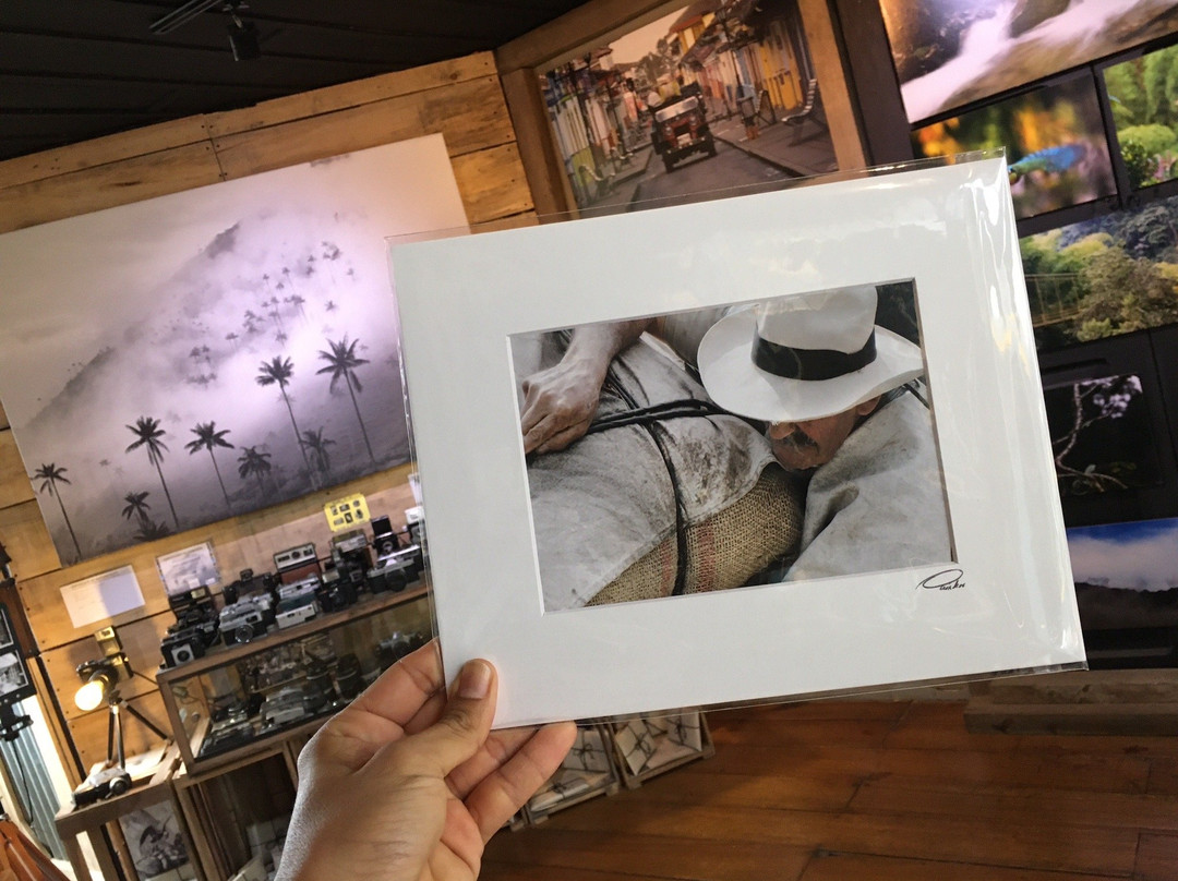 Fotografia Palma y Niebla-萨伦托必去景点