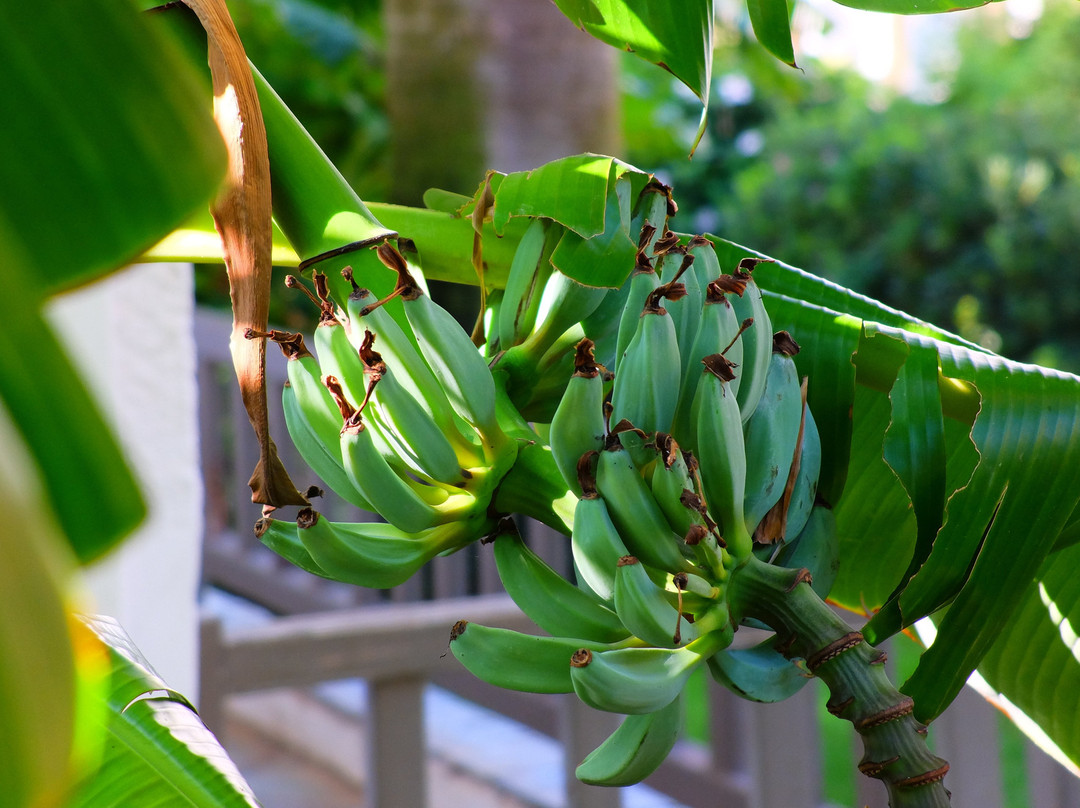 Matala Valley Village Hotel主图