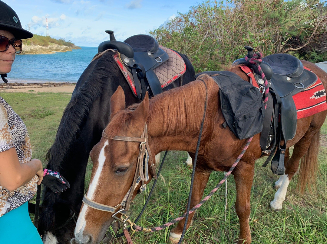 Moran Meadows-圣乔治必去景点