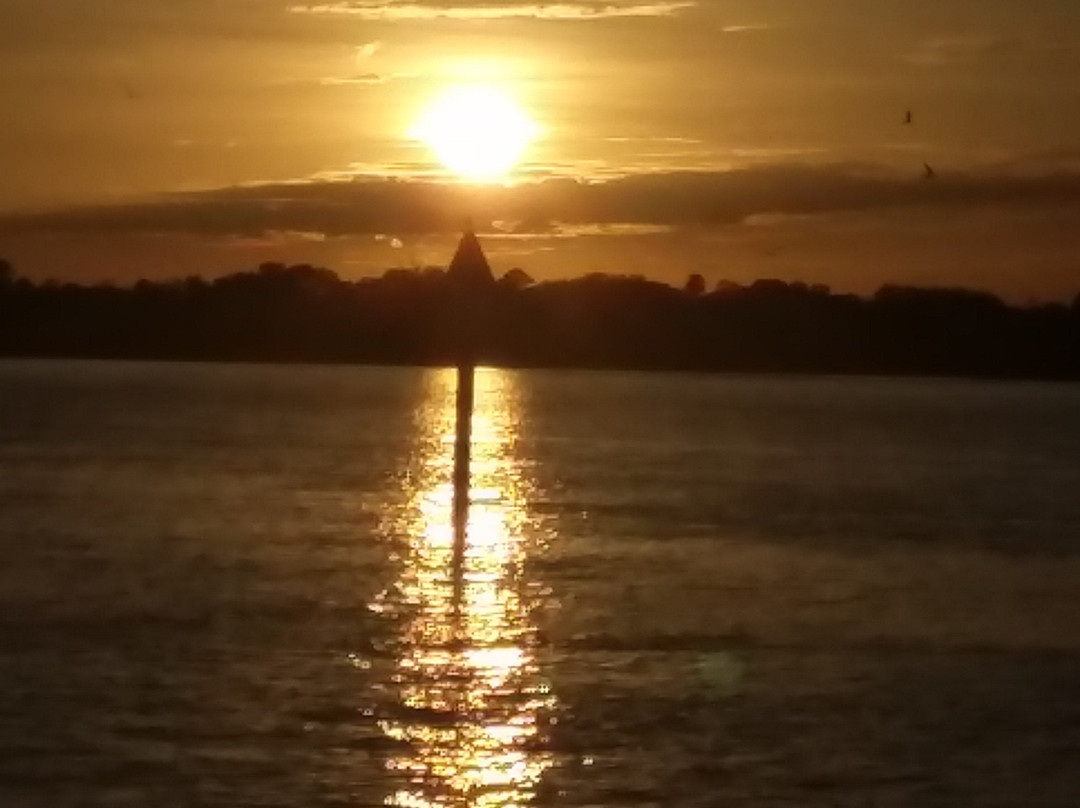 Florida Water Tours景点图片