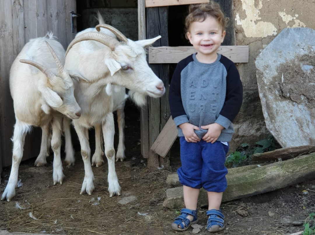 Cottage Farm-Alino必去景点