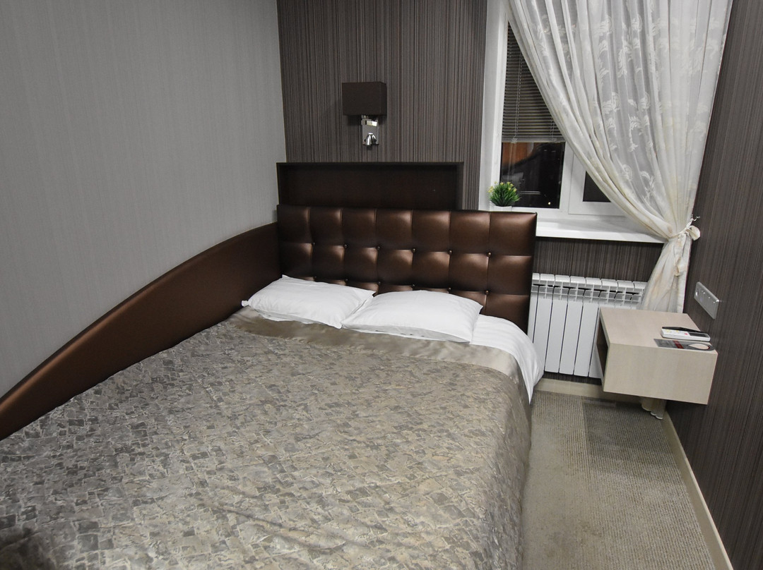 Hotel Vladpoint主图